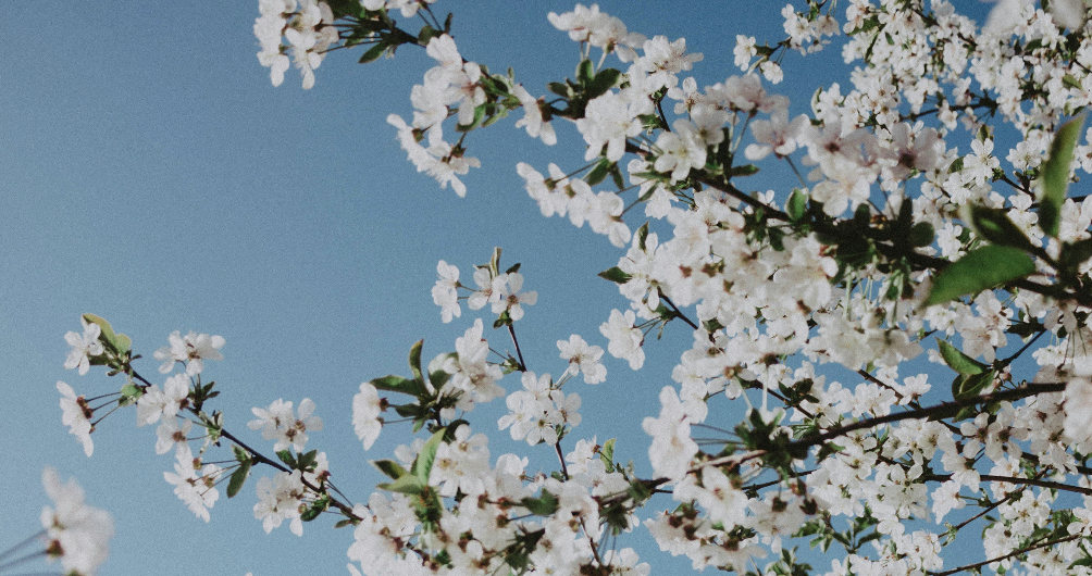 Welcome to Plato's Closet McKinney, TX